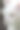 白猫脸特写图片下载