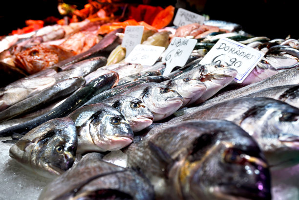 在巴塞罗那的鱼市，新鲜多彩的鱼在冰上图片下载