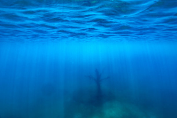 水下热带礁与海;阳光穿过水。图片下载