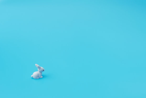 小白兔坐在蓝色的背景上。复活节节日快乐概念。贺卡。极简主义的概念。为你的文本复制空间。图片下载