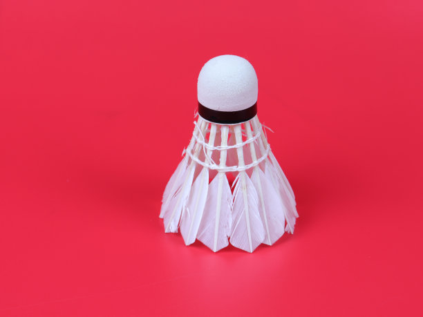 羽毛球羽毛球。图片下载