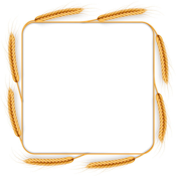 小麦花圈，孤立在白色上。收获框架模板。农业产品对象。每股收益10图片下载