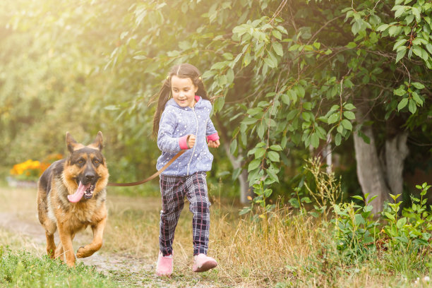 年轻有魅力的运动女孩在公园里和狗一起跑步图片下载
