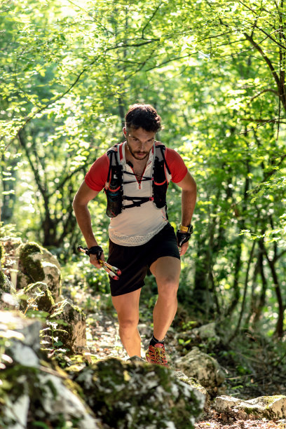 在森林中的越野跑图片下载