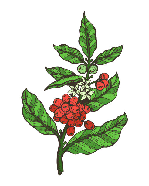 ÐÐ”视图中。NÐÐ是半NÐµNÐ是半ÐµNÐ°图片下载