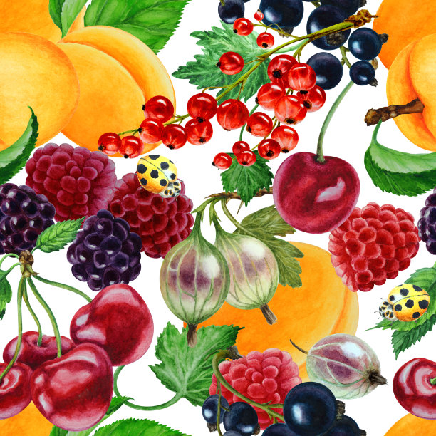 背景杏，覆盆子，加仑子，樱桃，黑莓，醋栗，水彩插图。无缝模式。图片下载