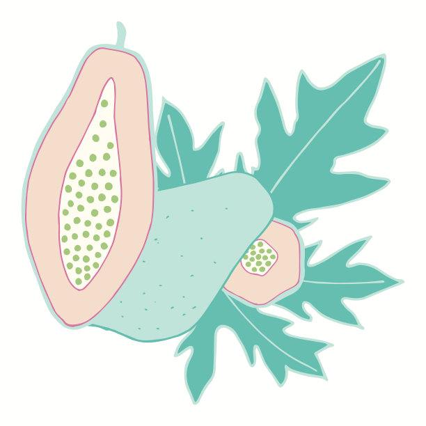 矢量图与木瓜果实。柔和的绿色和橙色图案。图片下载