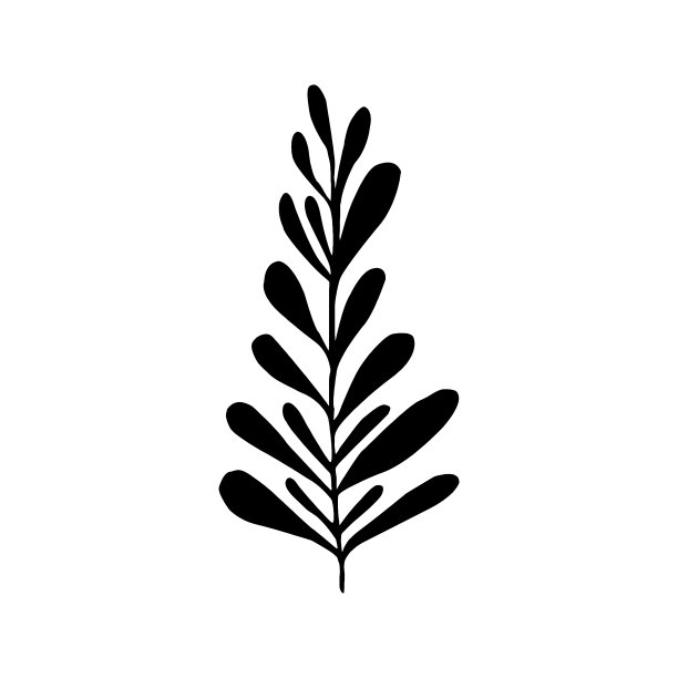 可爱的手绘森林树叶、树枝。传统的叶子在墨水，涂鸦风格的婚礼装饰和安排。图片下载