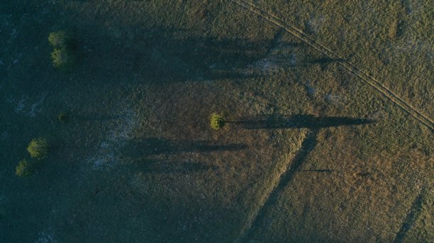 空中从上到下的绿色草地与树木和长长的阴影。自然背景。黑山。夏天的日落。农村景观。农村。图片下载