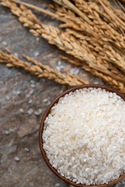 一碗大米和水稻图片下载