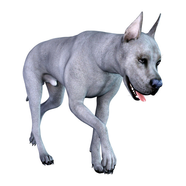 3D插图蓝色大丹狗在白色图片下载