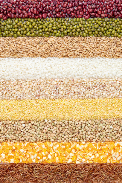 五谷杂粮条形平铺对比展示图图片下载