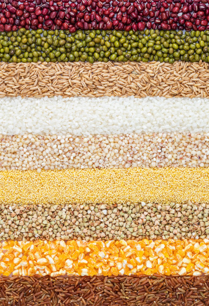 五谷杂粮条形平铺对比展示图图片下载