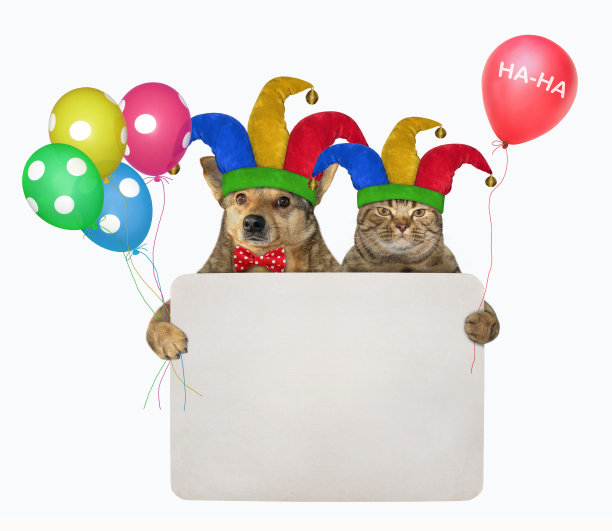 狗和猫的空白标志图片下载