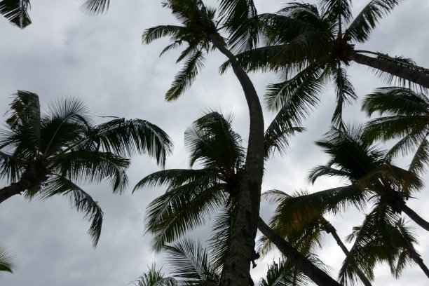 毛里求斯度假胜地图片下载