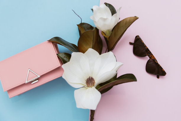 女性时尚概念极简主义粉色背景眼镜和包包俯视图图片下载