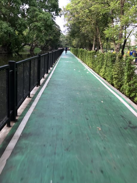 公园里有一条绿色的自行车道图片下载