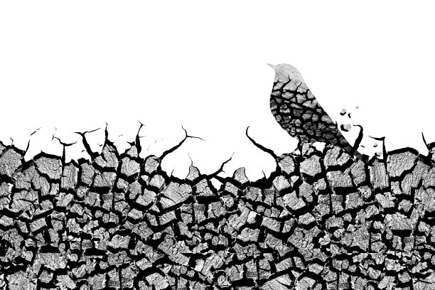 土壤裂缝。抽象的性质。孤立的形象。白色背景。图片下载