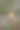 新切割的木材等待分发库存照片图片下载