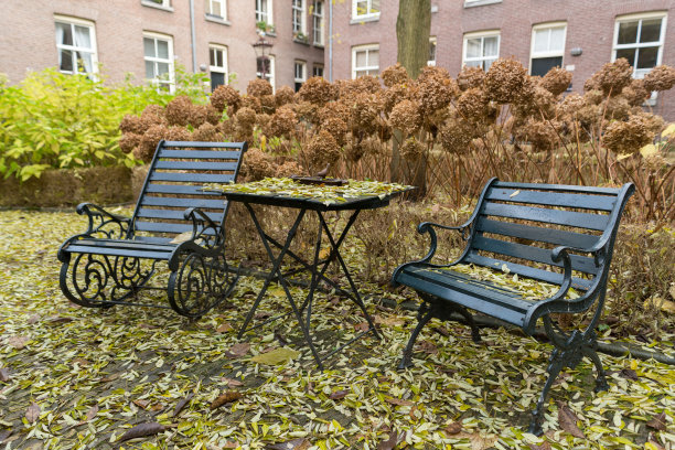 铁椅子和一张桌子在阿姆斯特丹的院子里。图片下载