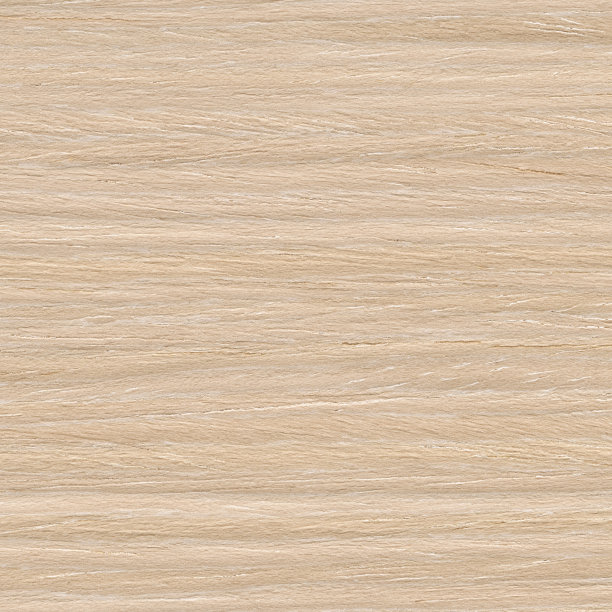 白杏木背景图片下载