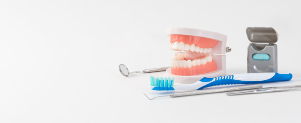 牙科保健，工具和下巴孤立的网页横幅图片下载