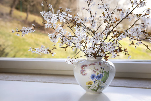 窗边花瓶里的白色花枝。樱花在室内。春天盛开的概念。图片下载