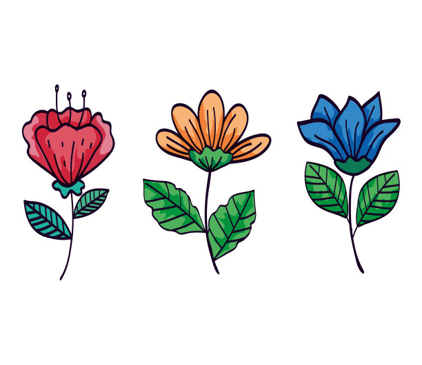 一套花与枝叶装饰图片下载