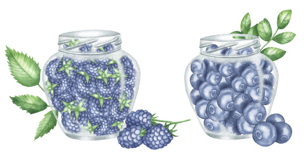 罐装蓝莓和黑莓。jpg图片下载