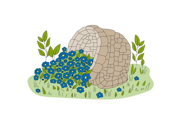 有长春花的花园花坛。图片下载