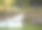 模糊的夏日自然公园形象图片下载