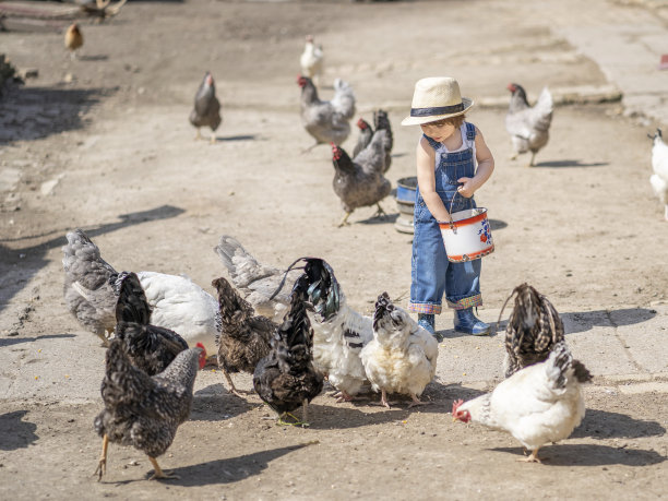 小农民图片下载
