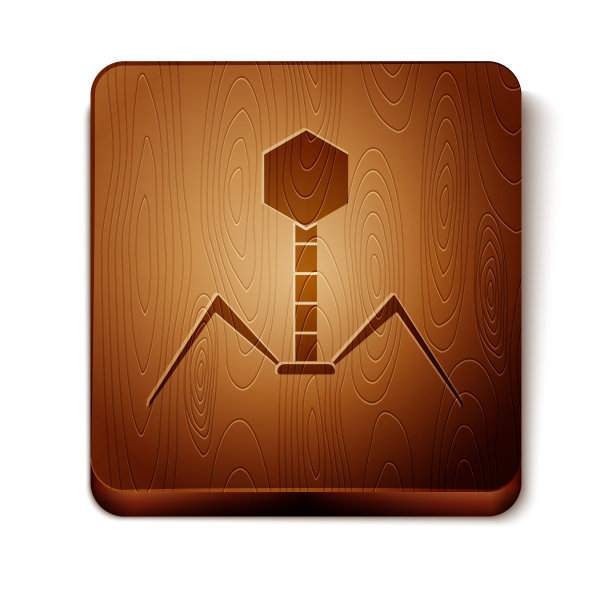 棕色细菌噬菌体图标分离在白色背景上。细菌感染的迹象。微生物引起疾病的概念。木制方形按钮。矢量图图片下载