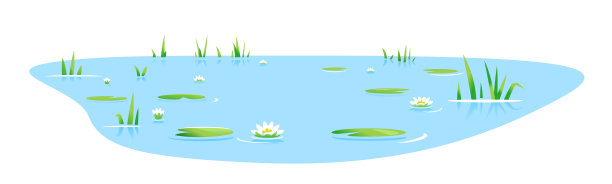 与芦苇植物隔离的小池塘图片下载