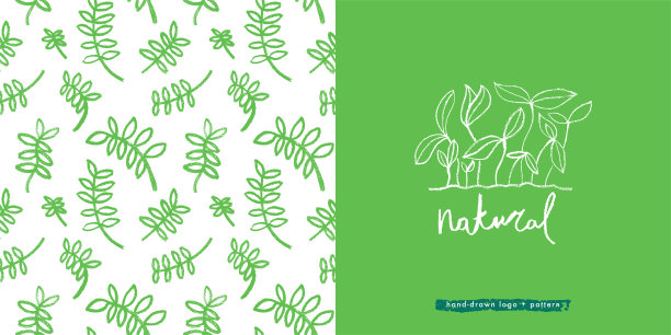 矢量手绘草本模式水培和微型绿色概念。图片下载