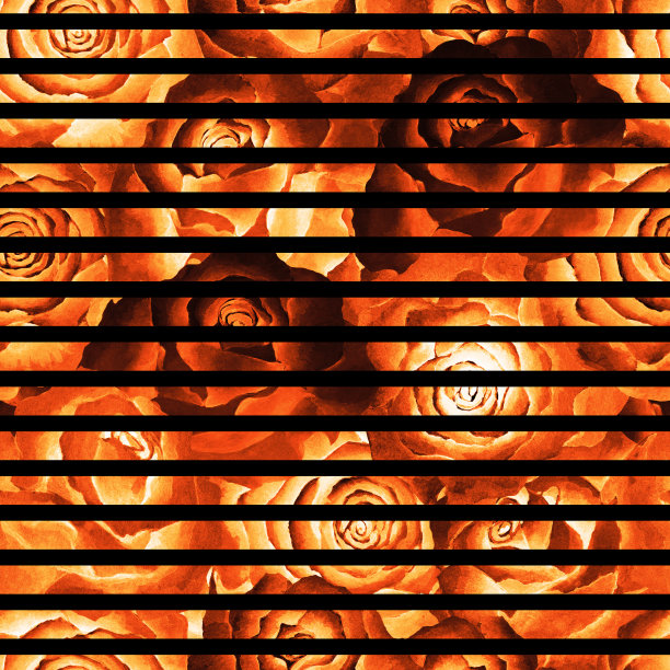 无缝图案火色玫瑰和黑色条纹，背景。手画水彩。图片下载