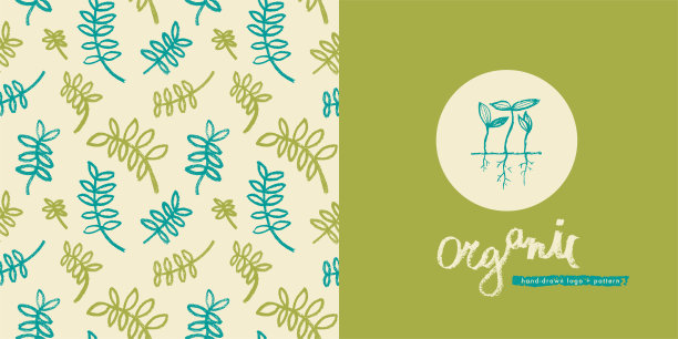 矢量手绘草本模式水培和微型绿色概念。图片下载