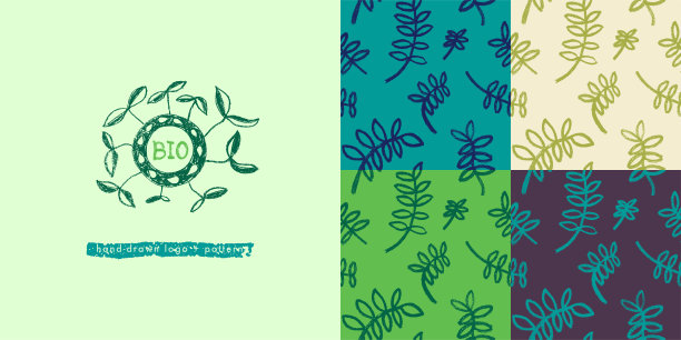 矢量手绘草本模式水培和微型绿色概念。图片下载