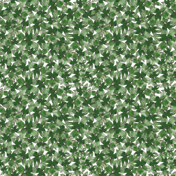 无缝水彩模式与绿色多肉在白色的背景。抽象的沙漠植物，有线条的仙人掌，涂鸦。手工上色，织物表面印刷，文具和礼品纸包装图片下载