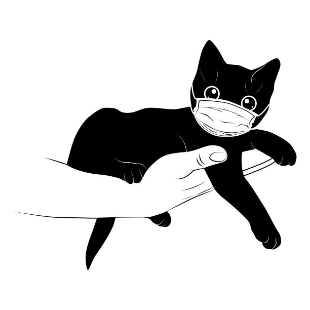 戴着医生面具的小猫图片下载
