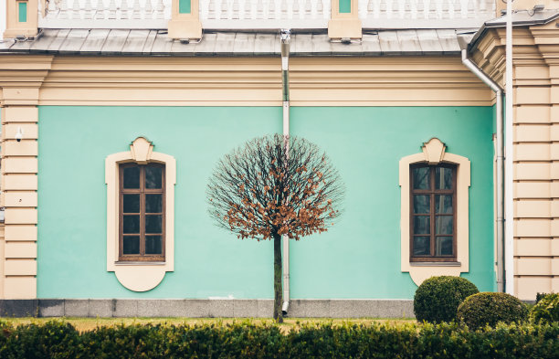 在乌克兰基辅的马林斯基宫，一座带有草坪、装饰树和黄杨木丛的蓝色巴洛克老建筑的正面图片下载