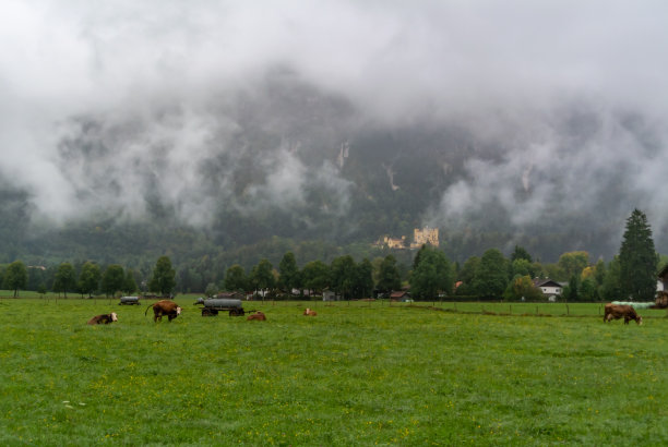 远处是德国巴伐利亚州的霍恩施万高城堡，一座迷雾中的农场图片下载