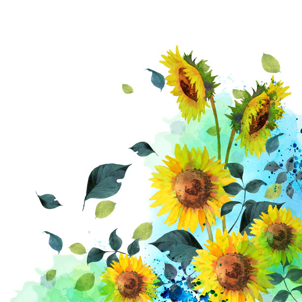 水彩向日葵花园图片下载