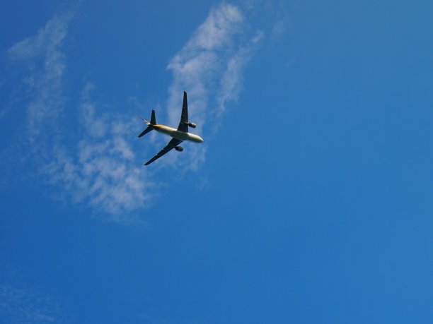 空中的飞机图片下载