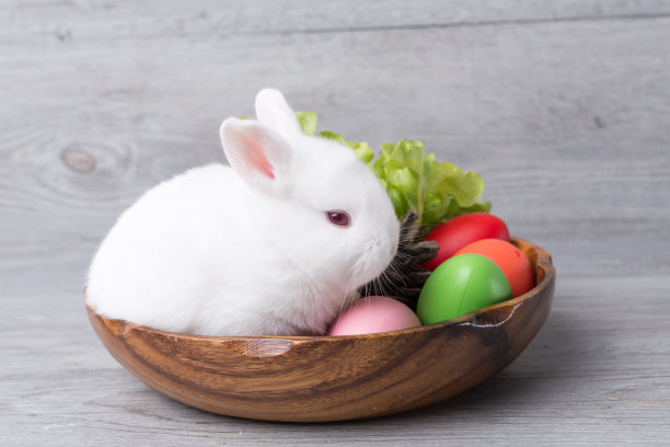 复活节快乐。小白兔在一个盛着蔬菜和复活节彩蛋的木托盘里。图片下载