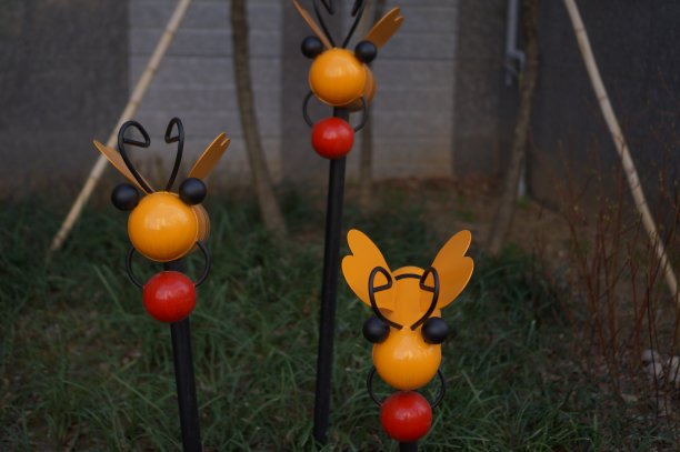 蜜蜂内部图片下载