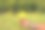 黄玫瑰握着女孩的手与抄写空间图片下载