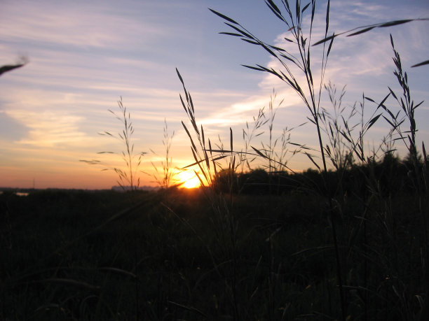风景如画的日落湖上，傍晚自然的河流图片下载