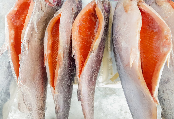 冷冻三文鱼全内脏鱼超市柜台，健康食品理念图片下载