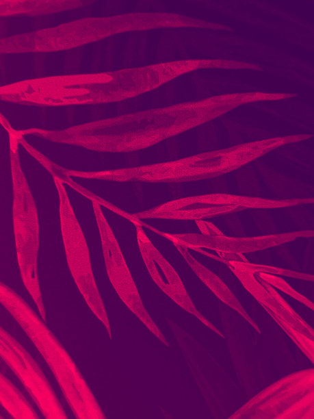 美丽的抽象色彩白色和粉红色的三叶大理石在白色的背景和黑色和红色的花岗岩瓷砖地板在黑色的背景，爱红色的叶子横幅图形，艺术马赛克装饰，粉红色的花朵图片下载